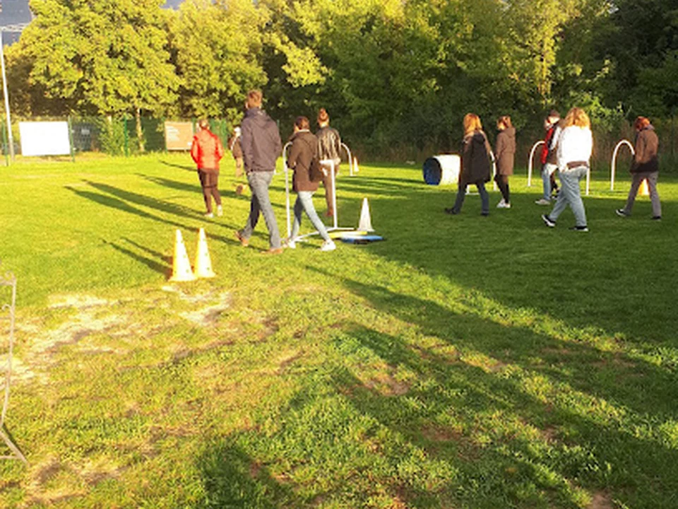 Stadthundetraining | Katharina Marioth, Berlin