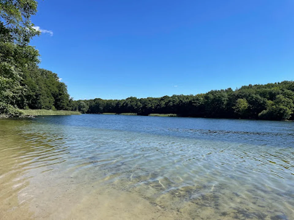 Hundeauslaufgebiet Grunewald, Berlin