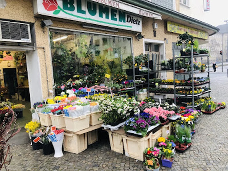 Blumen Li-An am Rathaus Schöneberg, Berlin