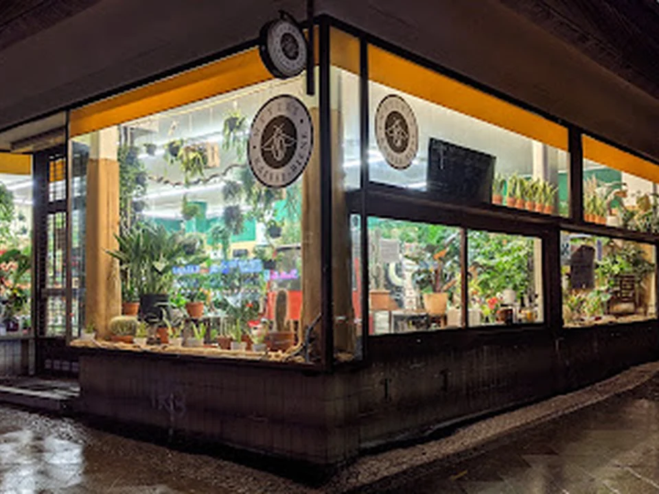 Blumen Weyer GmbH Berlin