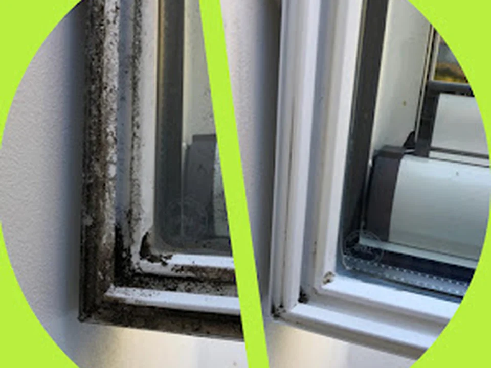deinefensterputzer.de, Berlin