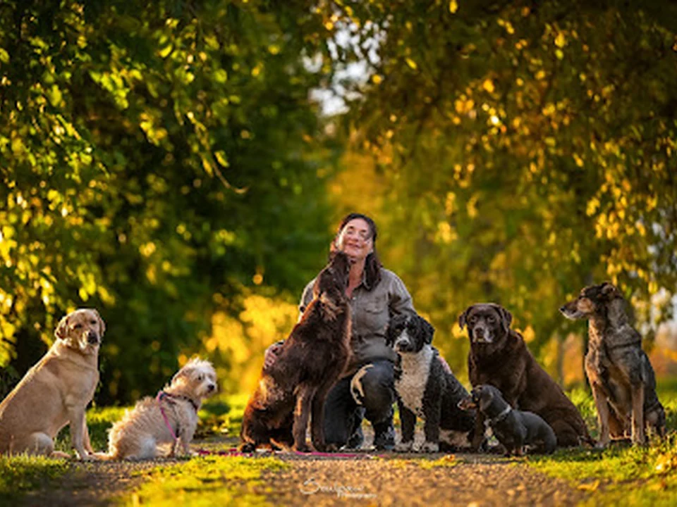 Frei nach Schnauze - Für zufriedene Hunde, Berlin