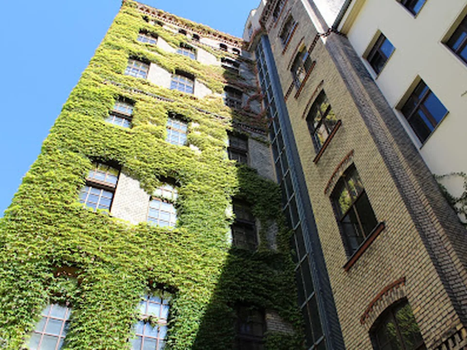 Polnischer Sozialrat, Berlin