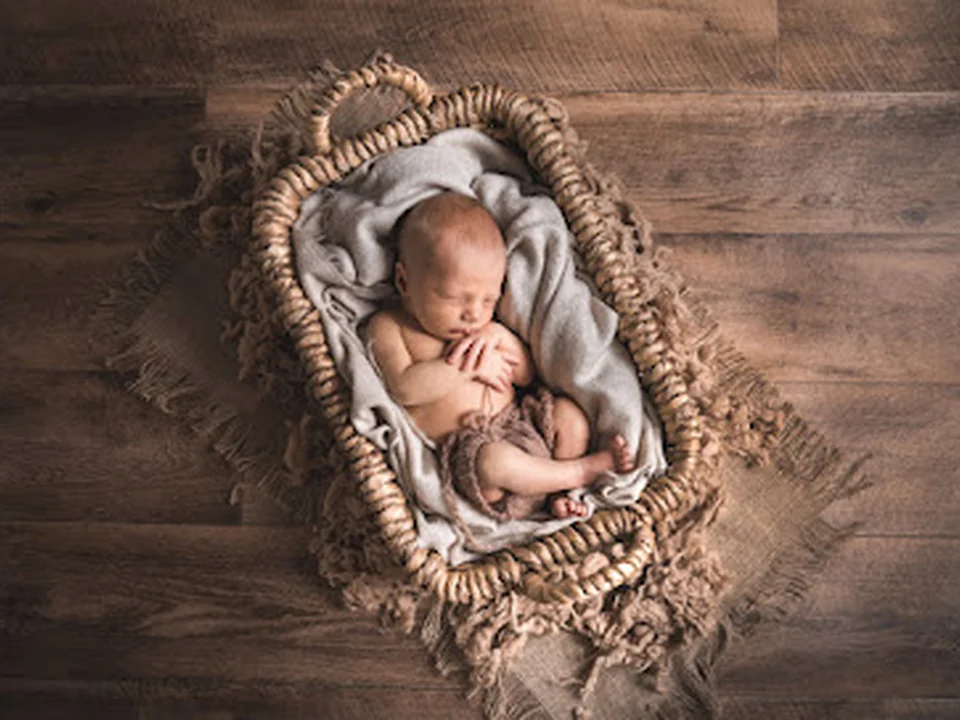 Schwangerschaftsfotografie Berlin | Babyfotografie Berlin | Petit Camera