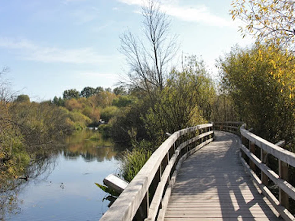 Eichwerder Moorwiesen, Berlin