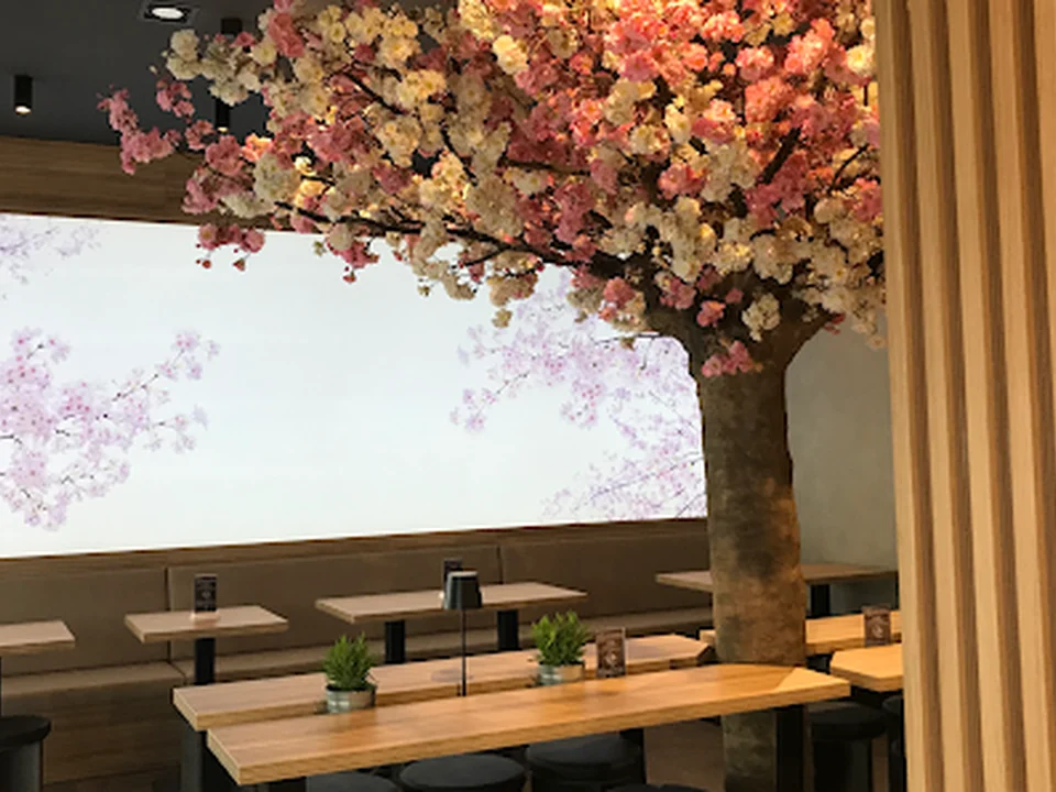 Any Sushi Berlin-Steglitz