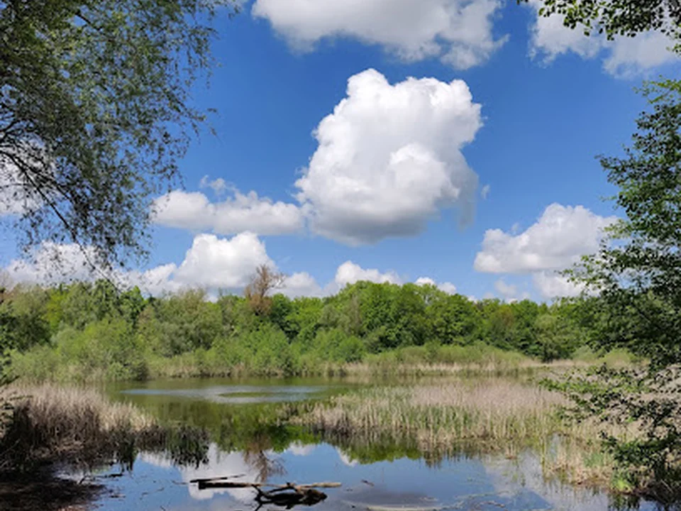 Fauler See, Berlin