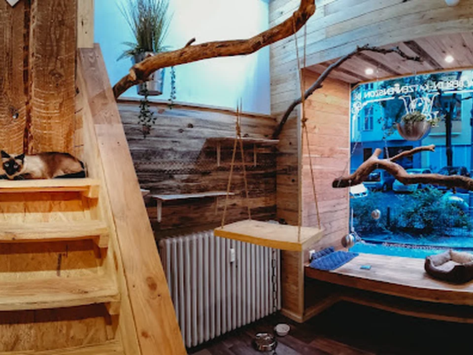 Berlin-Katzenpension