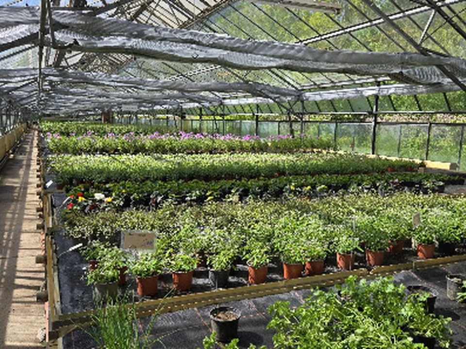 Gärtnerei Hirschgarten, Berlin