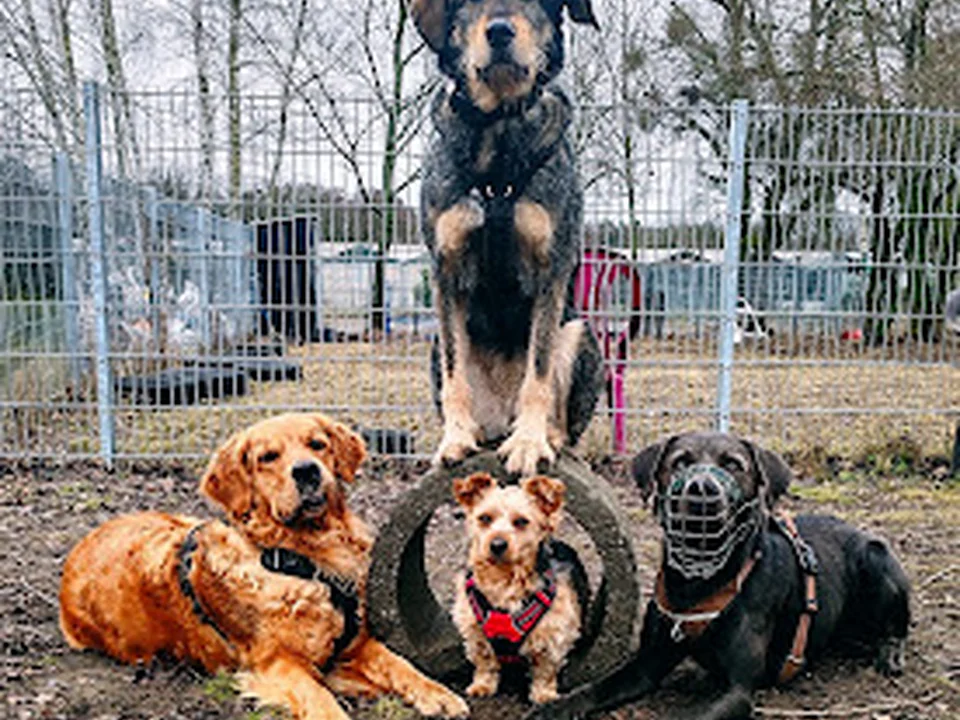 Maxi's Hundegang, Berlin