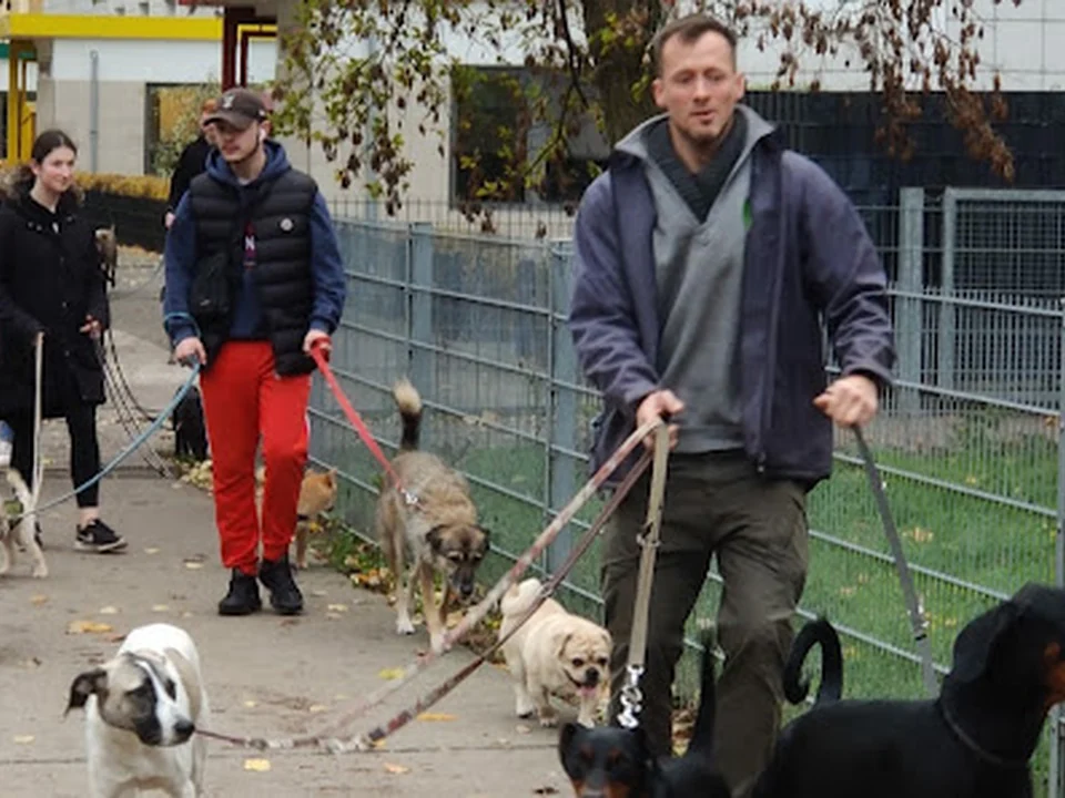 Hundezentrum Go Dogs, Berlin