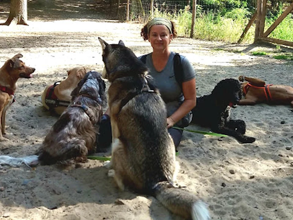 Gassiservice CARE4DOGS Hundebetreuung, Berlin