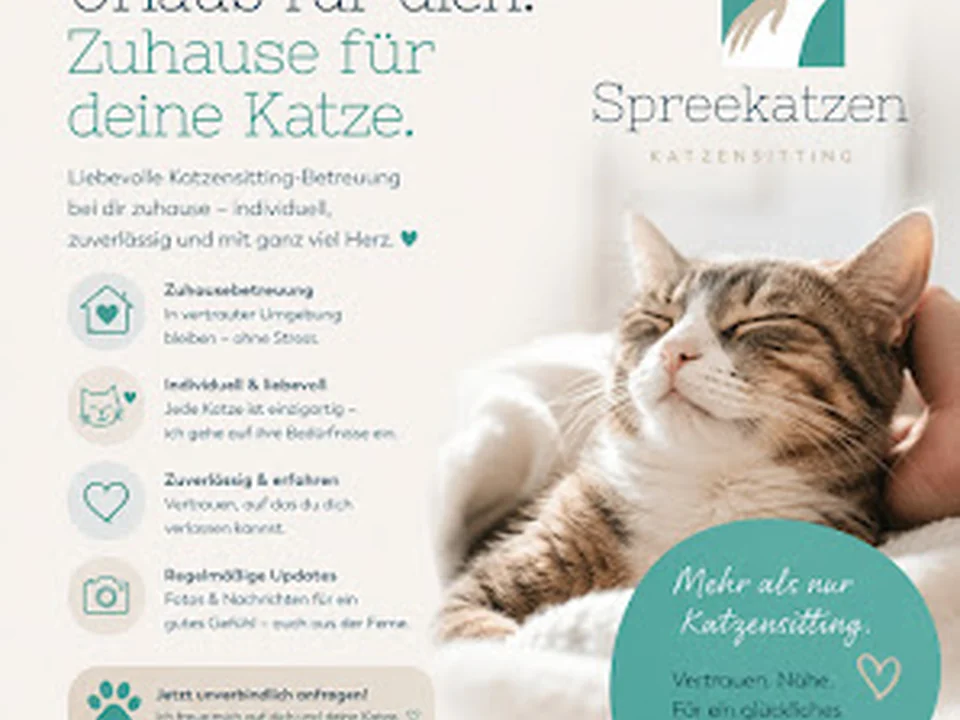 Spreekatzen - Katzensitter Berlin