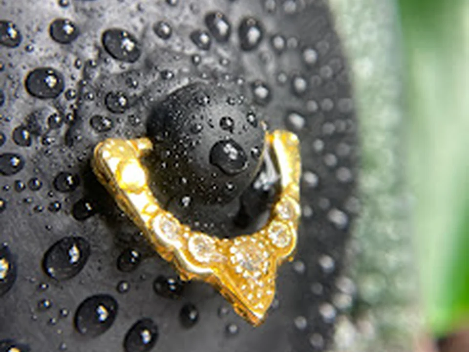 Beautyrella | Piercing Studio Berlin