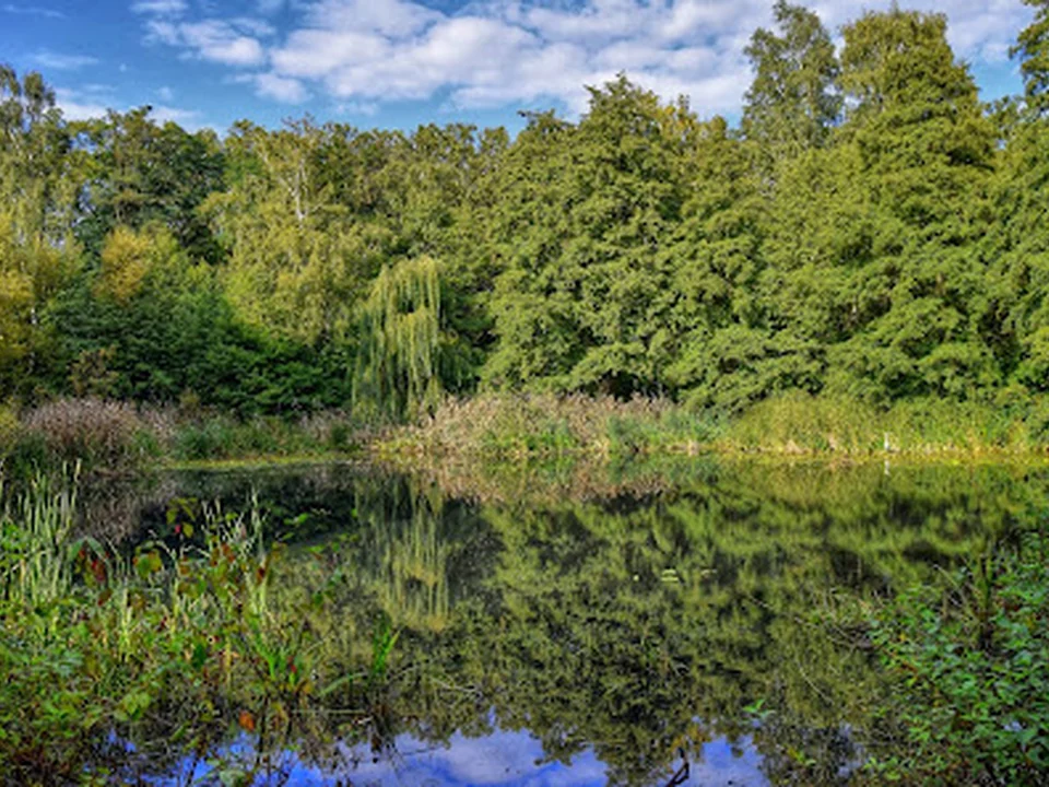 Kienhorstpark, Berlin