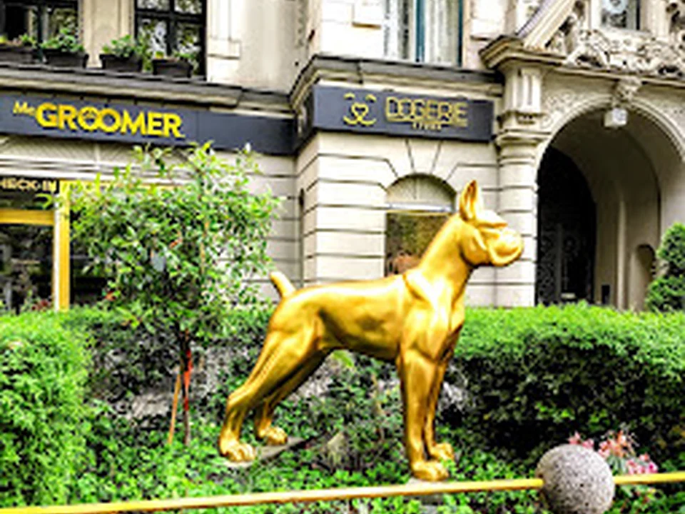 McGroomer Hundesalons GmbH, Berlin