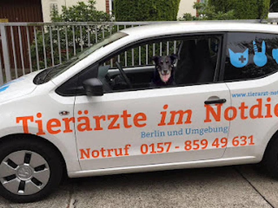 Tierärzte im Notdienst - Tiernotarzt für Berlin und Brandenburg