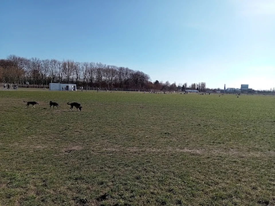 Hundewiese II Tempelhofer Feld (Südost), Berlin