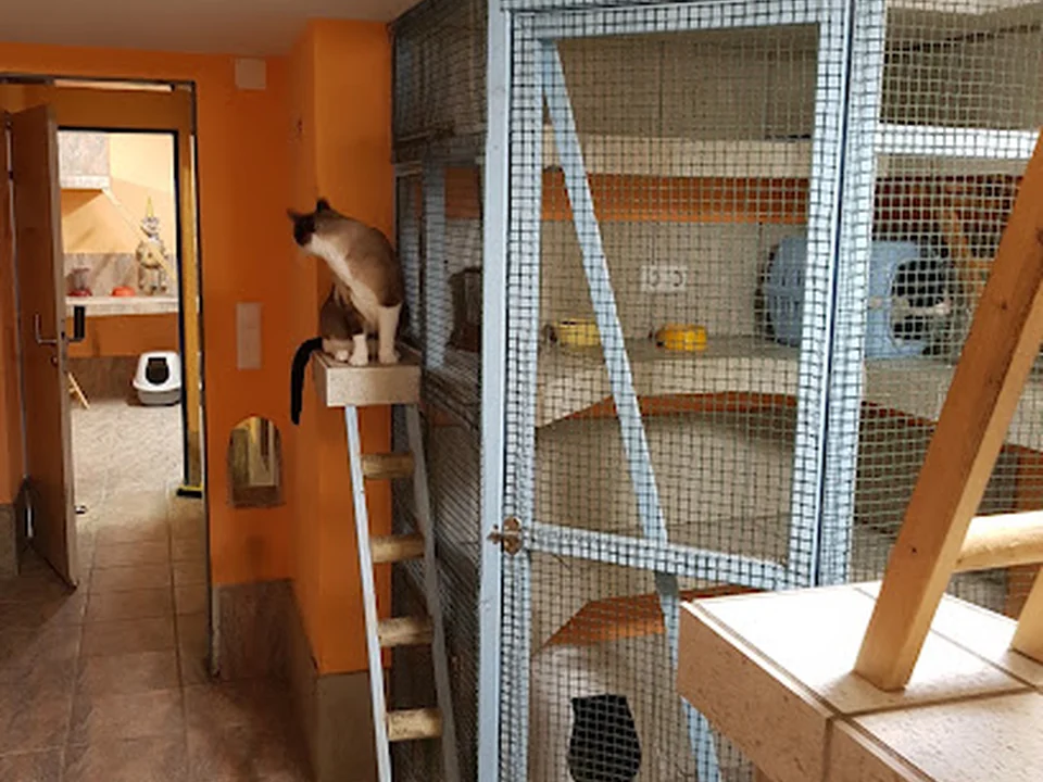 Katzenpension Tragert, Berlin
