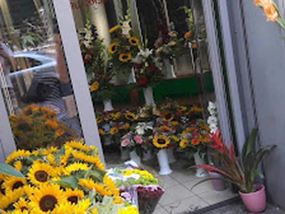 City Blumen, Berlin