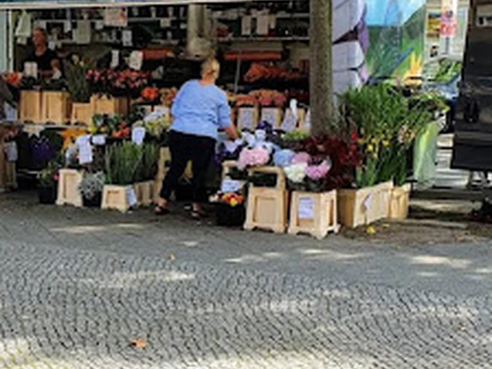 Blumen Olli Berlin am Breitenbachplatz