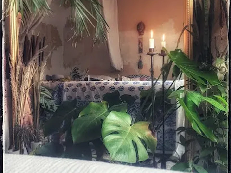 Sphynx Massage for women/flinta - Holistic Massage in Berlin