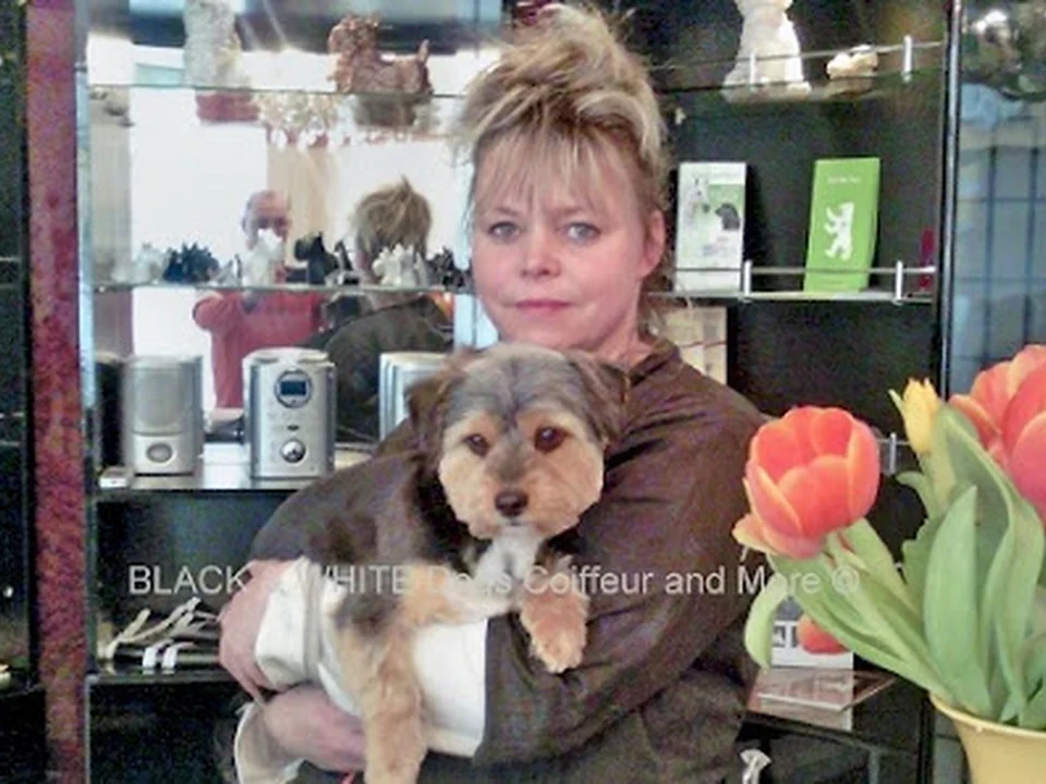 Hunde & Katzensalon Black & White Dogs Coiffeur and More, Berlin