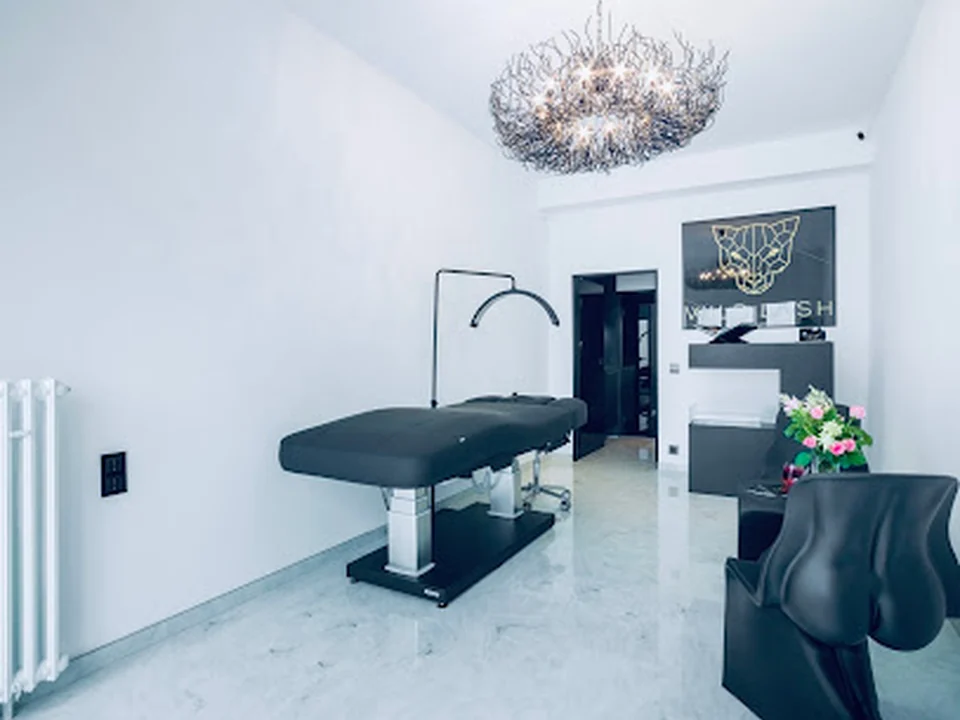 Wild Lash - Studio & Academy, Berlin