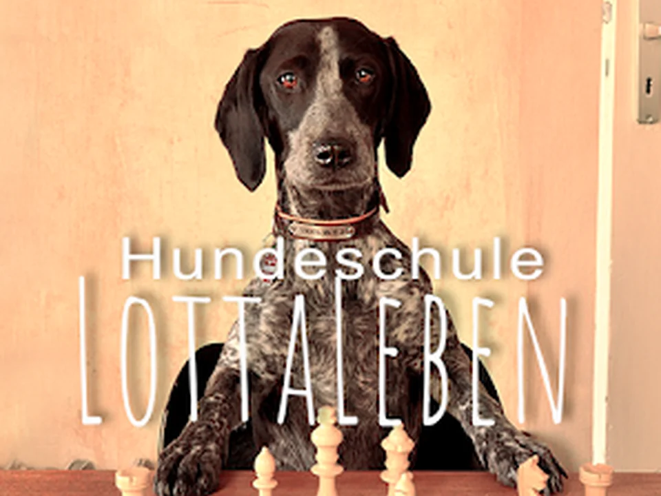 HUNDESCHULE LottaLeben - Hundetraining & Social Walks Berlin