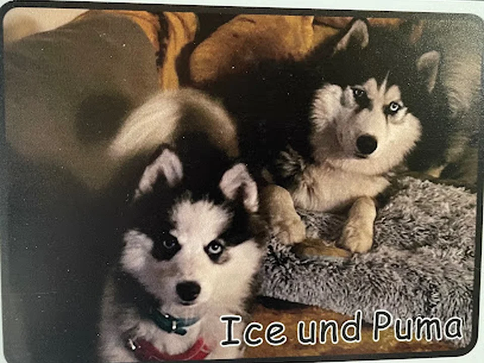 Hundepension Liane Kramer, Berlin