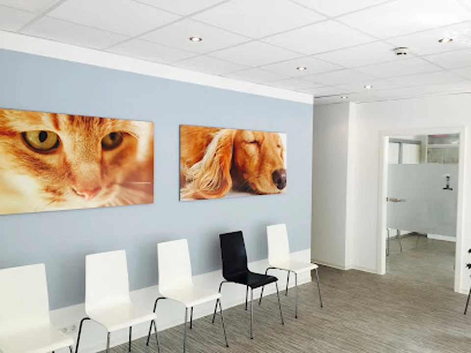 Praxis für Kleintiermedizin Janine Lenk, Berlin