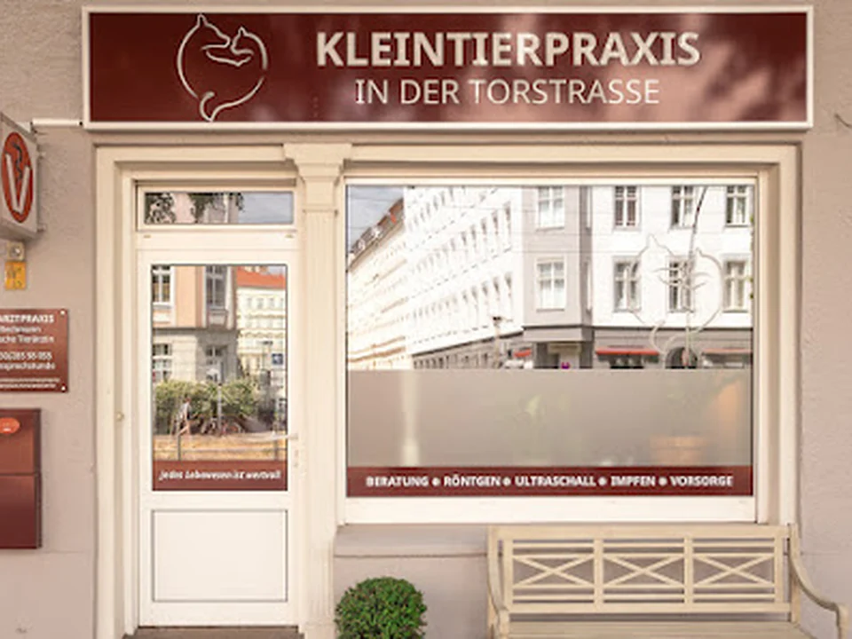 Kleintierpraxis in der Torstrasse, Berlin