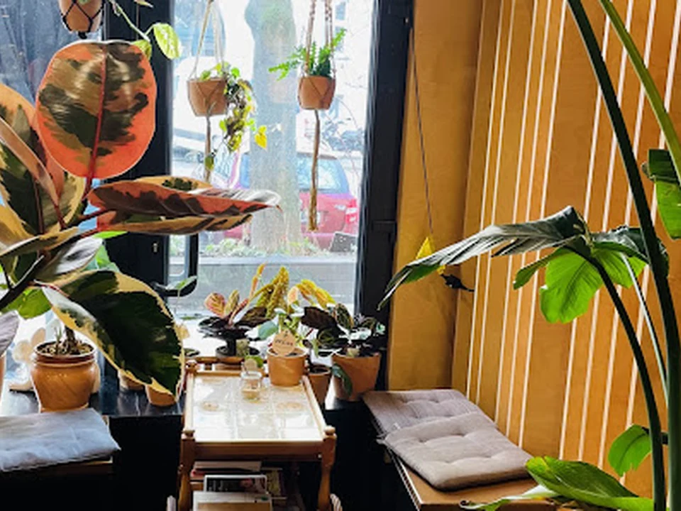 The Rabbit Café, Berlin