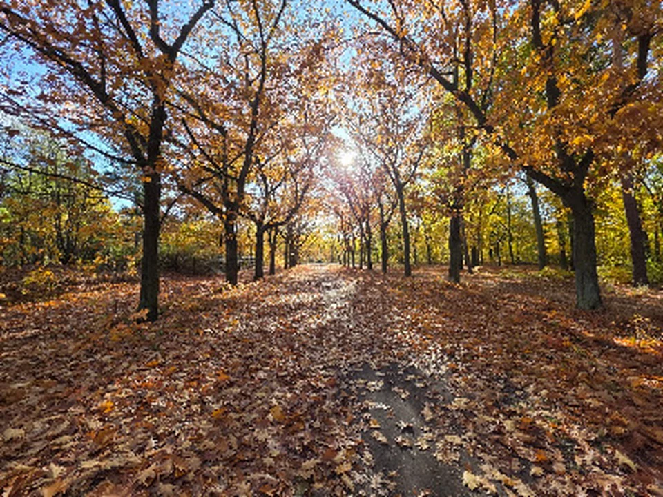 Volkspark Wuhlheide, Berlin