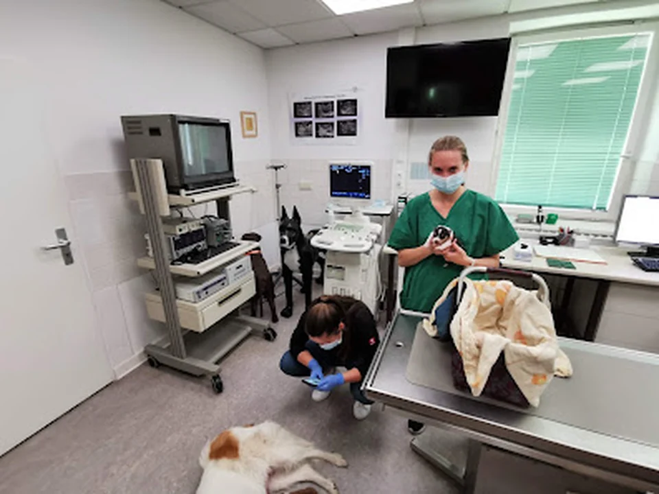 Tierklinik für Fortpflanzung - Freie Universität Berlin