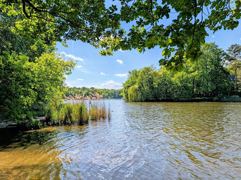 Hundeauslaufgebiet Pohlesee / Stölpchensee (Wannsee - Düppel), Berlin