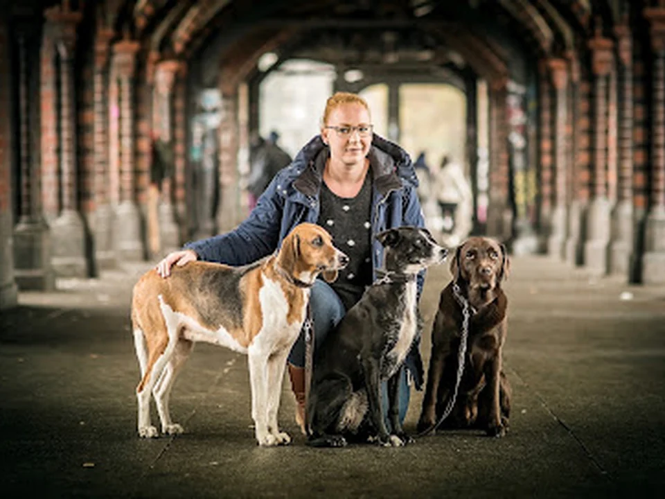 Hundeschule DOGS IN BERLIN
