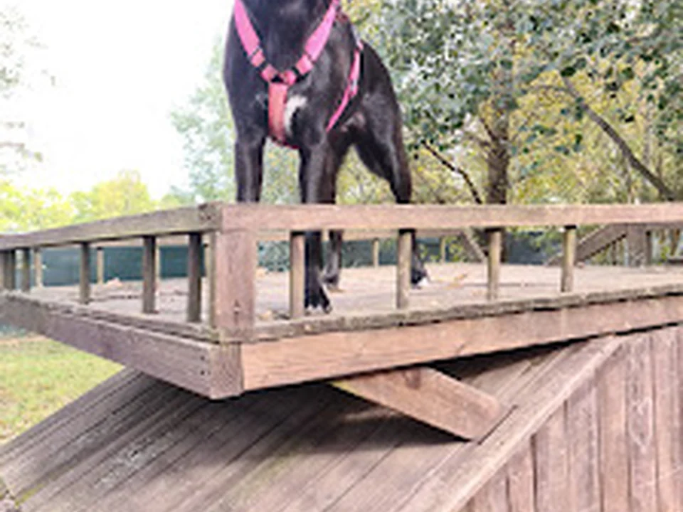 Hundeauslaufgebiet Hohenschönhausen, Berlin