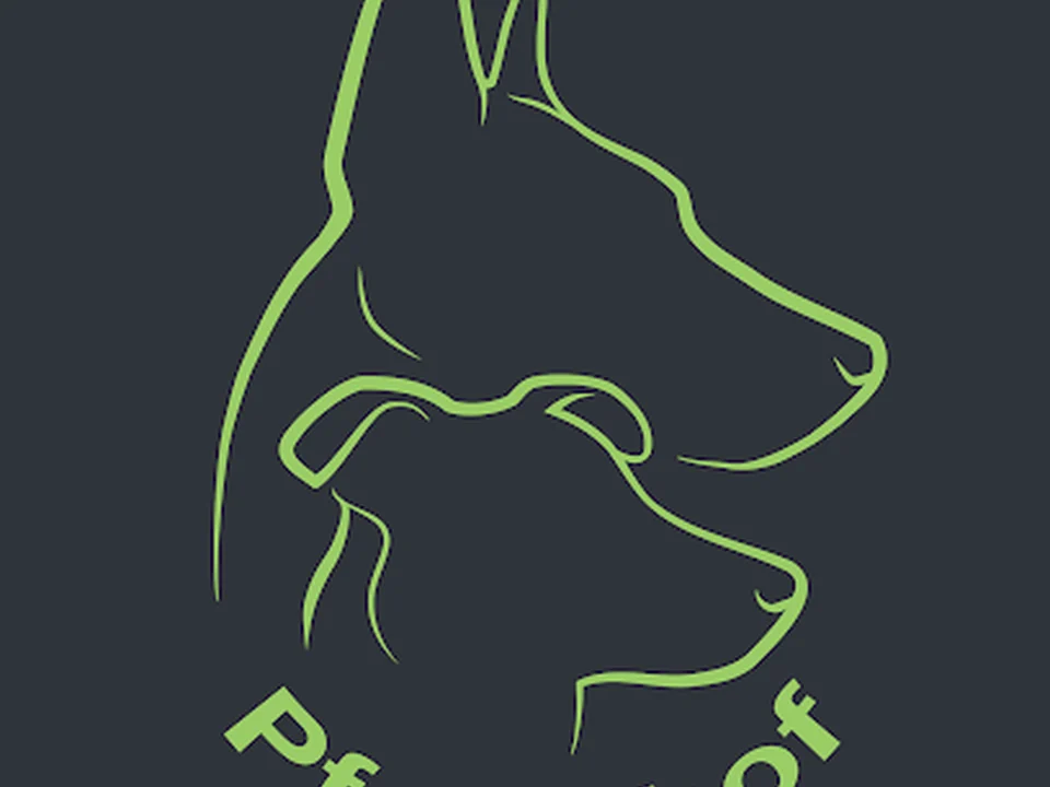 Pfotenhof - Hundebetreuung, Berlin