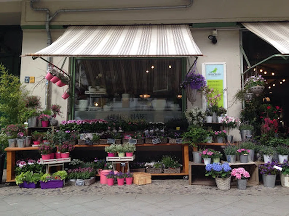 Grünschnabel Floristik & Plant Store Berlin