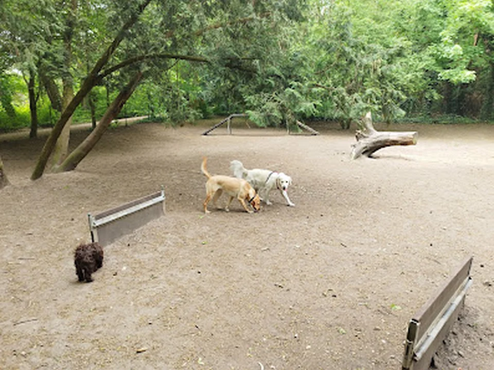 Hundegarten im Steinbergpark, Berlin